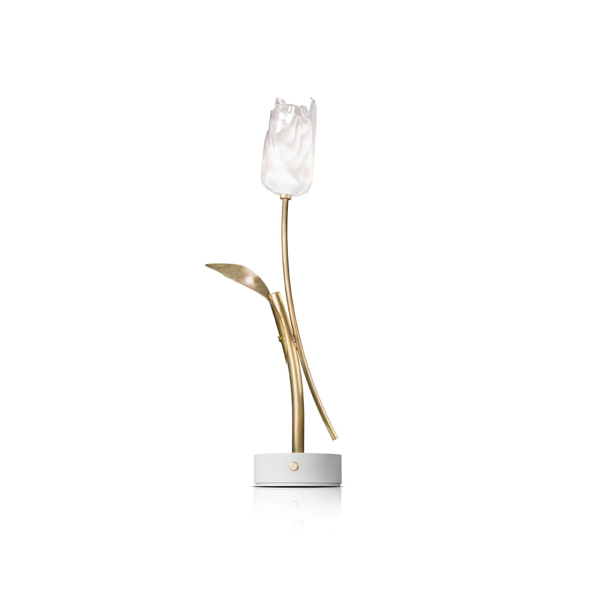 Tulip